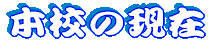 vE 